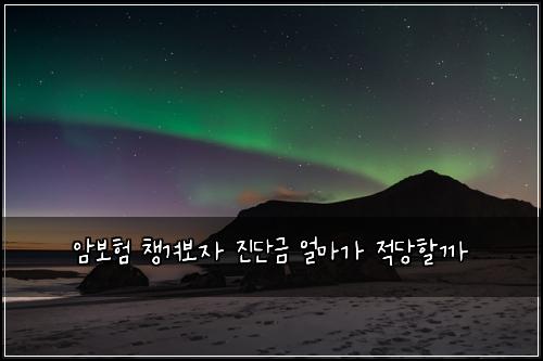 암보험 챙겨보자  진단금 얼마가 적당할까