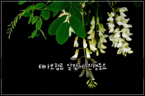 ํ์๋ณดํ๋ฃ ์๋ง๊ฒ ์งํ์ค์