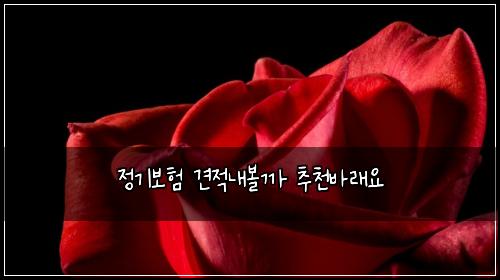 ์ ๊ธฐ๋ณดํ ๊ฒฌ์ ๋ด๋ณผ๊น ์ถ์ฒ๋ฐ๋์