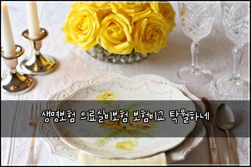 생명보험 의료실비보험 보험비교 탁월하네
