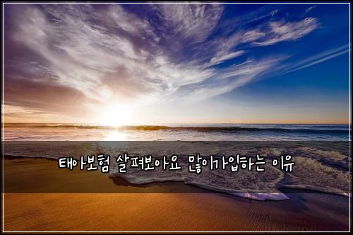 태아보험 살펴보아요  많이가입하는 이유