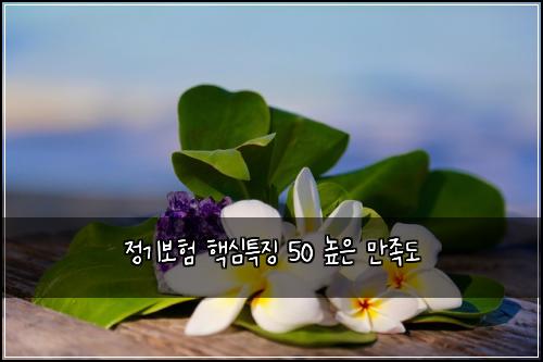 정기보험 핵심특징  50 높은 만족도