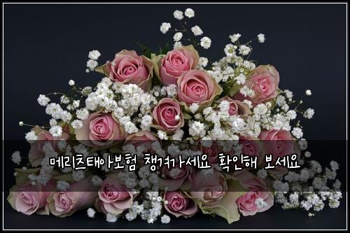 메리츠태아보험 챙겨가세요  확인해 보세요