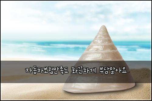 자동차보험만족도 화끈하게 부담말아요