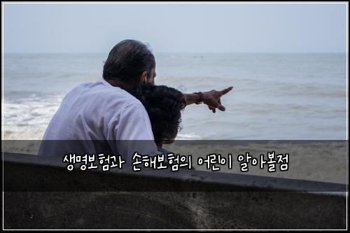 ์๋ช
๋ณดํ๊ณผ ์ํด๋ณดํ์ ์ด๋ฆฐ์ด ์์๋ณผ์ 