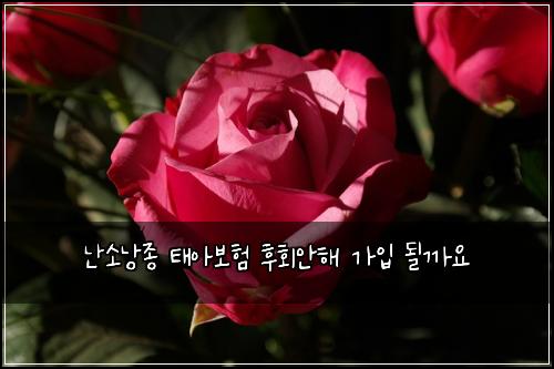 난소낭종 태아보험 후회안해  가입 될까요