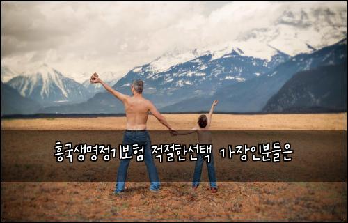 흥국생명정기보험 적절한선택  가장인분들은