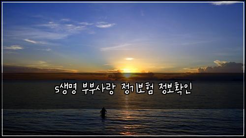s생명 부부사랑 정기보험 정보확인 