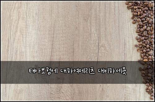 태아보험에 대하여메리츠 대비하세욧