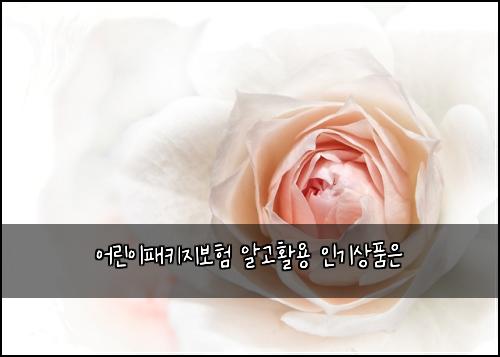 어린이패키지보험 알고활용  인기상품은
