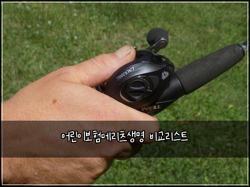 어린이보험메리츠생명 비교리스트