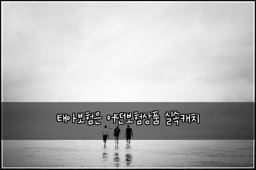 ํ์๋ณดํ์ ์ด๋ค๋ณดํ์ํ ์ค์์บ์น
