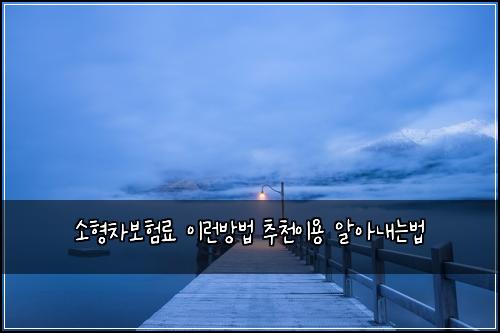 ์ํ์ฐจ๋ณดํ๋ฃ ์ด๋ฐ๋ฐฉ๋ฒ ์ถ์ฒ์ด์ฉ ์์๋ด๋๋ฒ