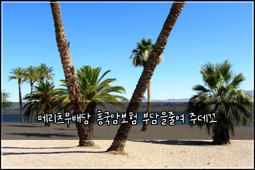 메리츠무배당 흥국암보험 부담을줄여  주데꼬