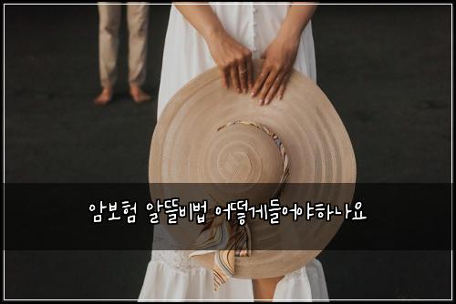 암보험 알뜰비법  어떻게들어야하나요