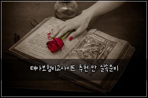 태아보험비교사이트 추천 만 실속준비