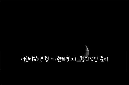 어린이실비보험 마련해보자  합리적인 준비