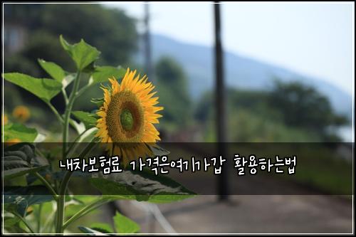 ๋ด์ฐจ๋ณดํ๋ฃ ๊ฐ๊ฒฉ์์ฌ๊ธฐ๊ฐ๊ฐ ํ์ฉํ๋๋ฒ