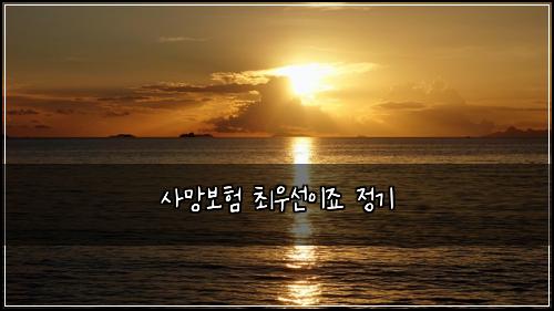 사망보험 최우선이죠  정기