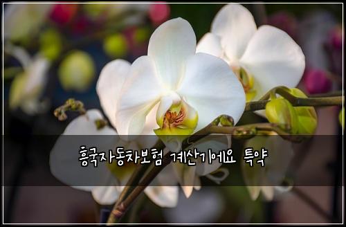 ํฅ๊ตญ์๋์ฐจ๋ณดํ ๊ณ์ฐ๊ธฐ์์ ํน์ฝ