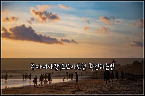 무자녀사랑꼬꼬마보험 확인하는법 