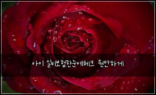 아이 실비보험한눈에체크 원만하게