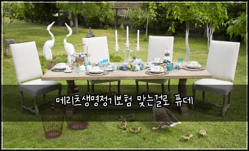 메리츠생명정기보험 맞는걸로  퓨데
