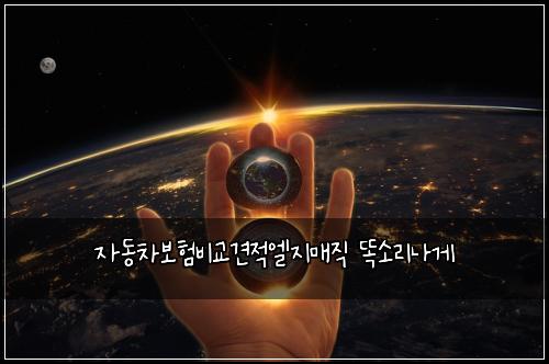 자동차보험비교견적엘지매직 똑소리나게