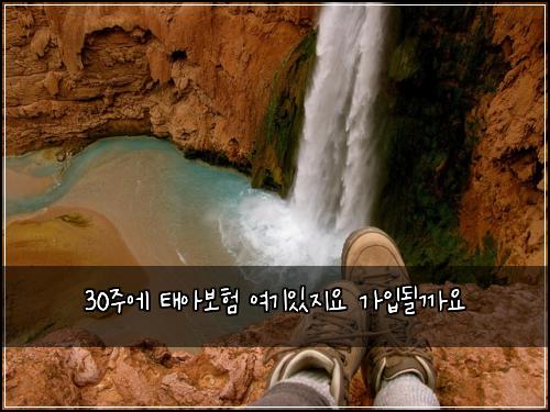 30주에 태아보험 여기있지요  가입될까요