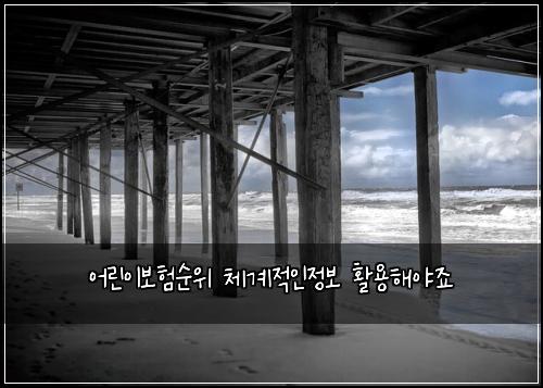 어린이보험순위 체계적인정보 활용해야죠