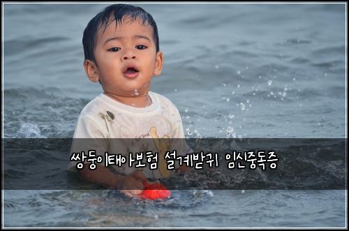 쌍둥이태아보험 설계받귀  임신중독증