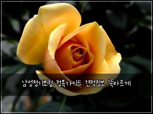 남성정기보험 정복가이드  견적정보 똑바르게