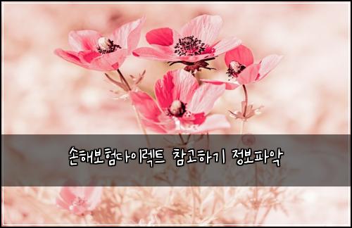 손해보험다이렉트 참고하기 정보파악