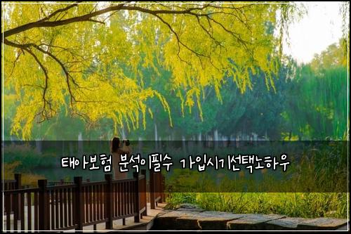 태아보험 분석이필수  가입시기선택노하우