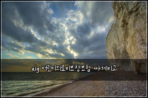 aig ์ด๋ฆฐ์ด์๋ฃ๋น๋ณด์ฅ๋ณดํ ์ธ๊ฒ๋น๊ต
