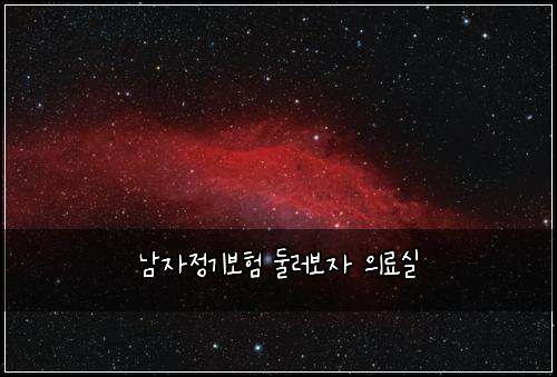 남자정기보험 둘러보자  의료실