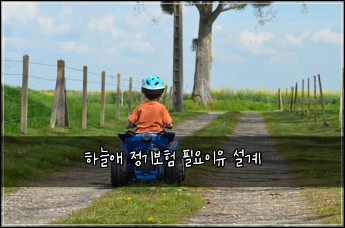 하늘애 정기보험 필요이유  설계
