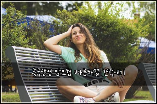 흥국생명 암보험 빠른해결  견적내기