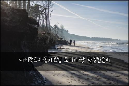 다이랙트자동차보험 요기가짱  확실한준비