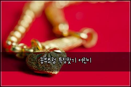 동부보험 특징찾기  어린이