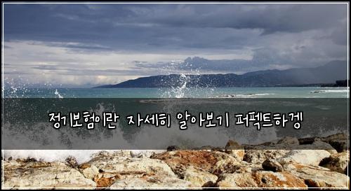 정기보험이란 자세히 알아보기 퍼펙트하겡