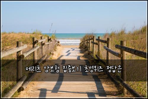 메리츠 암보험 집중보기  초성퀴즈 정답은