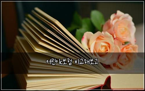 ์ด๋ฆฐ์ดc๋ณดํ ๋น๊ตํด๋ณด๊ณ