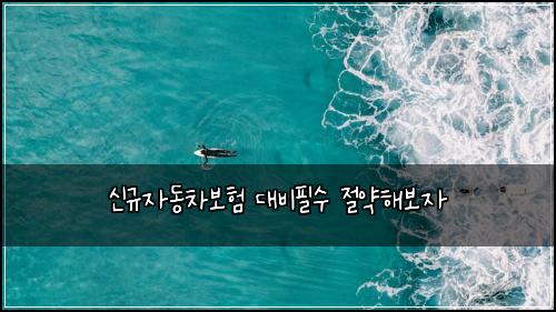 신규자동차보험 대비필수  절약해보자