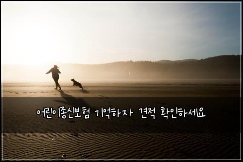 어린이종신보험 기억하자  견적 확인하세요