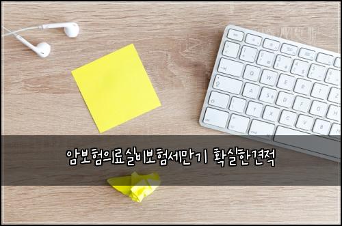 암보험의료실비보험세만기 확실한견적
