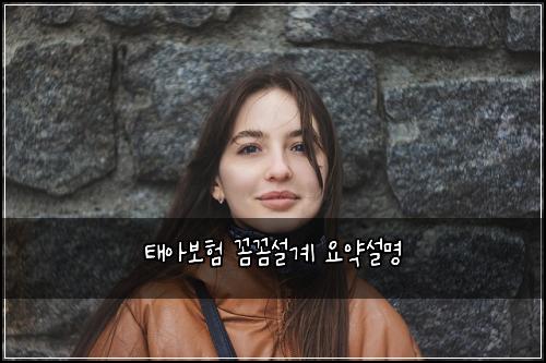 νμ보ν κΌΌκΌΌμ€κ³ μμ½μ€λͺ