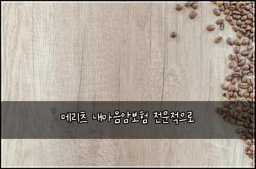 메리츠 내마음암보험 전문적으로 