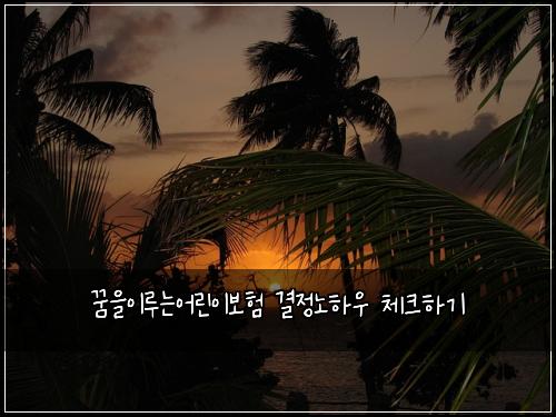 ๊ฟ์์ด๋ฃจ๋์ด๋ฆฐ์ด๋ณดํ ๊ฒฐ์ ๋
ธํ์ฐ ์ฒดํฌํ๊ธฐ
