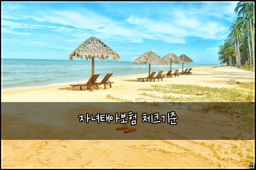 자녀태아보험 체크기준 